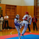 Kyorugi_LM201540.jpg