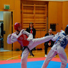 Kyorugi_LM201553.jpg