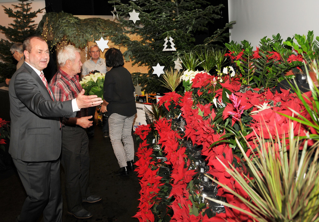 Blumenschmuckgala Hard 20-11-2015 54.jpg