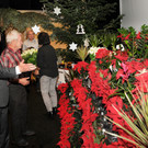 Blumenschmuckgala Hard 20-11-2015 54.jpg