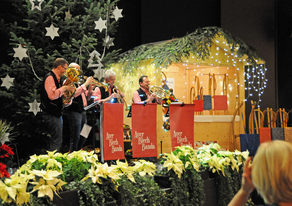 Blumenschmuckgala Hard 20-11-2015 15.jpg