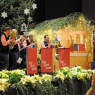 Blumenschmuckgala Hard 20-11-2015 15.jpg