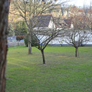 IMG_9994.JPG
