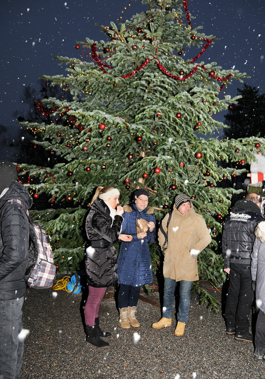 Cowboy-Weihnachten 2015 206.jpg