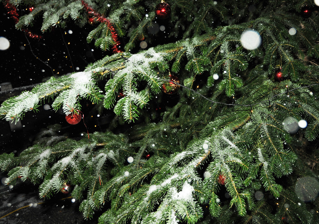 Cowboy-Weihnachten 2015 227.jpg