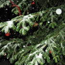Cowboy-Weihnachten 2015 227.jpg
