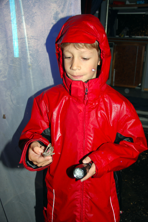 DSC_0037_JPG-1275859047