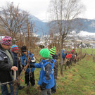 ogv20151124034770.jpeg