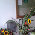 handy neu 518.jpg