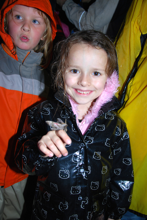 DSC_0028_JPG-1275861372