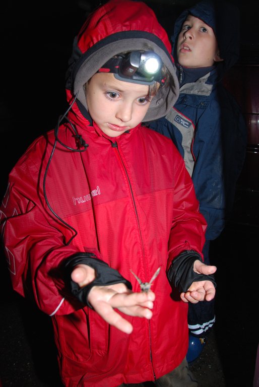 DSC_0029_JPG-1275861397