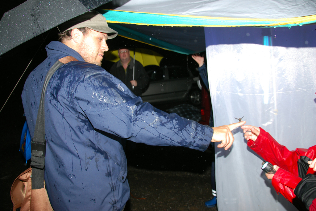 DSC_0034_JPG-1275861448