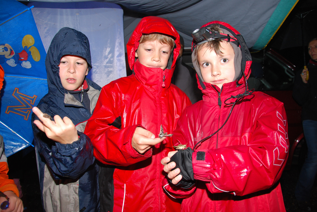DSC_0043_JPG-1275861514