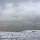 Bregenz: Wasserleiche entdeckt