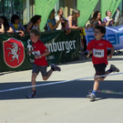 102_1460_jpg-1275868324