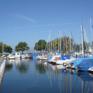 Hafen Lochau Sanierung und Ansichten _11__jpg-1275884951
