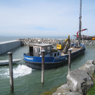 Hafen Lochau Sanierung und Ansichten _19__jpg-1275885090