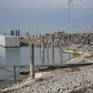 Hafen Lochau Sanierung und Ansichten _26__jpg-1275885209