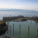 Hafen Lochau Sanierung und Ansichten _29__JPG-1275885260