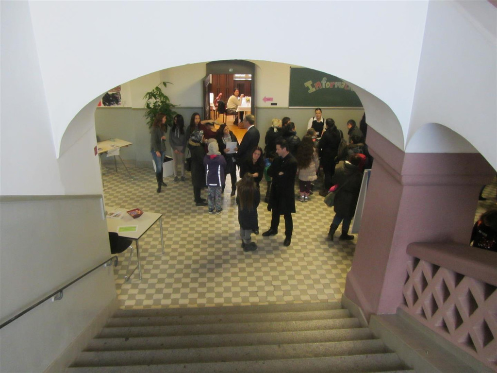 IMG_8088 _Large_.JPG