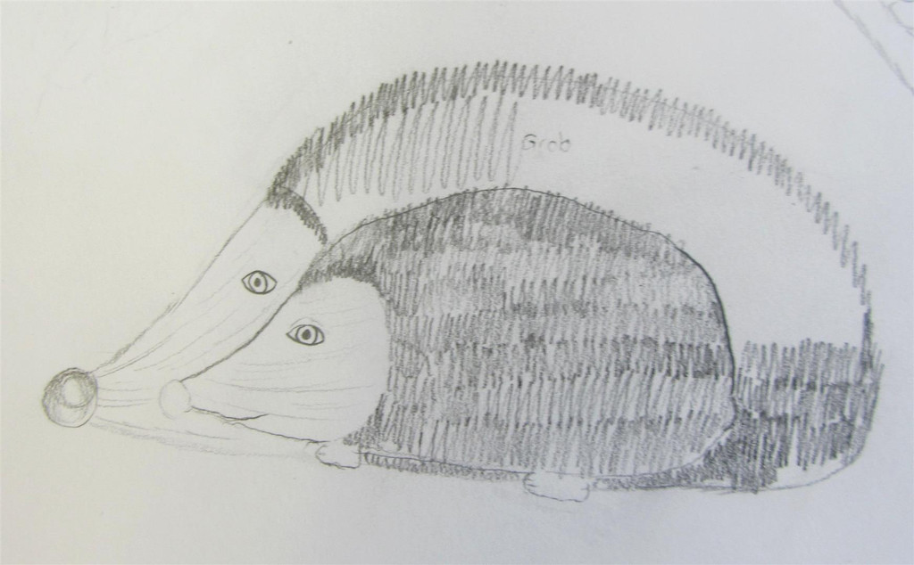 IMG_8098 _Large_.JPG