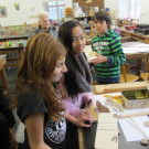 IMG_8152 _Large_.JPG