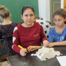 IMG_8155 _Large_.JPG