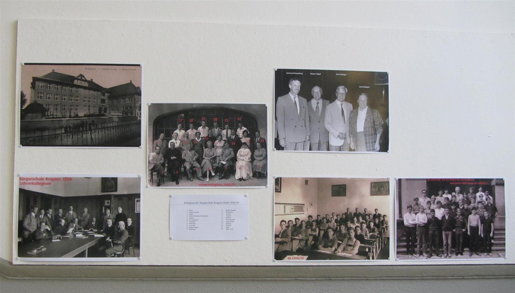 IMG_8217 _Large_.JPG