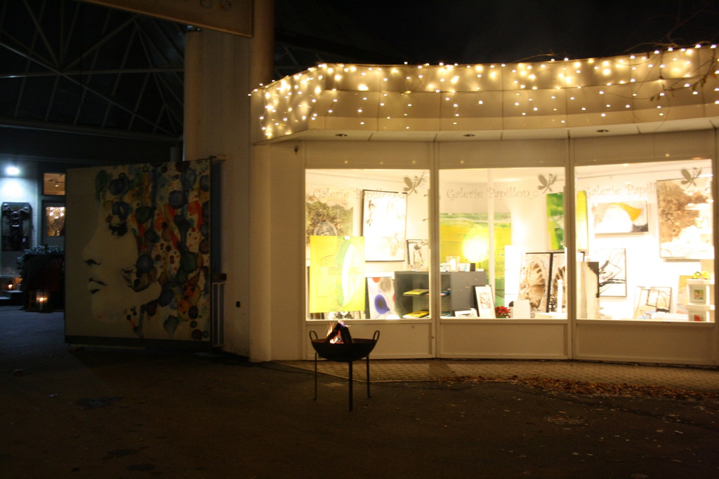 Galerie Papillon VOGLER Agi HUBER NO 2015 _9_.JPG