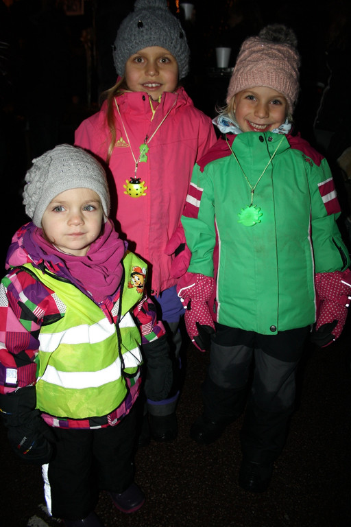 Adventzauber ILLUMINIERUNG Adventmarkt 28-11-2015 _26_.JPG