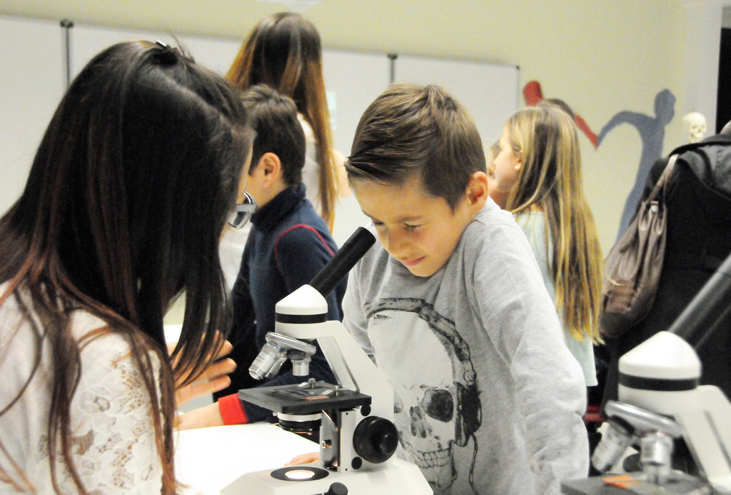 Mittelschule 27-11-2015 134.jpg
