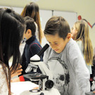 Mittelschule 27-11-2015 134.jpg