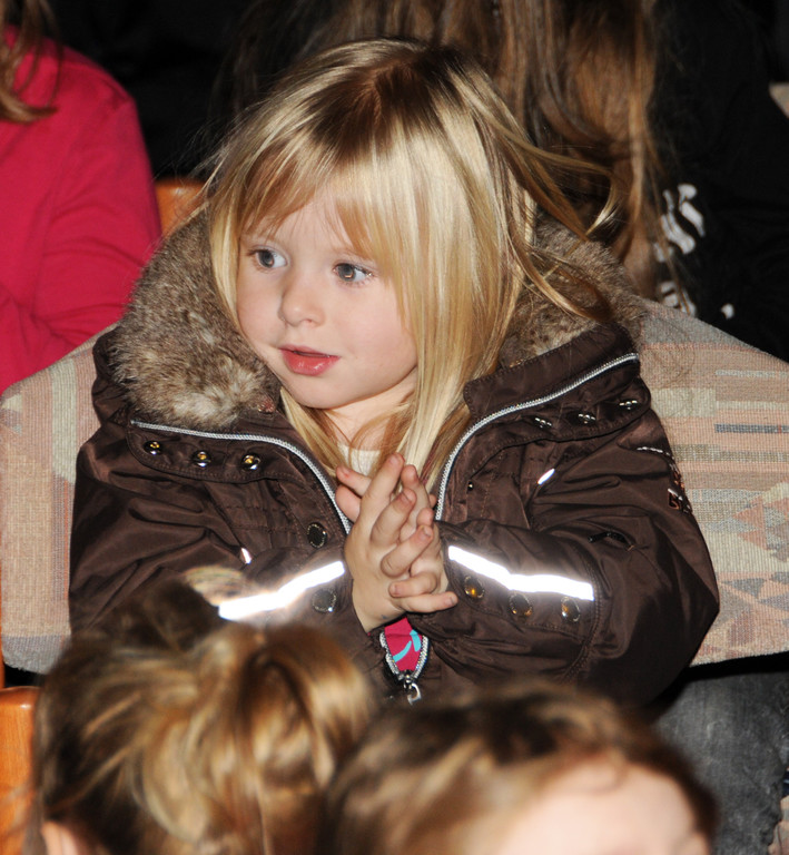 Adventmarkt Ho__chst 2015 90.jpg