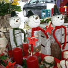 DSC00077.JPG