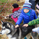 BK_Frastnanz Advent im Park 26.jpg