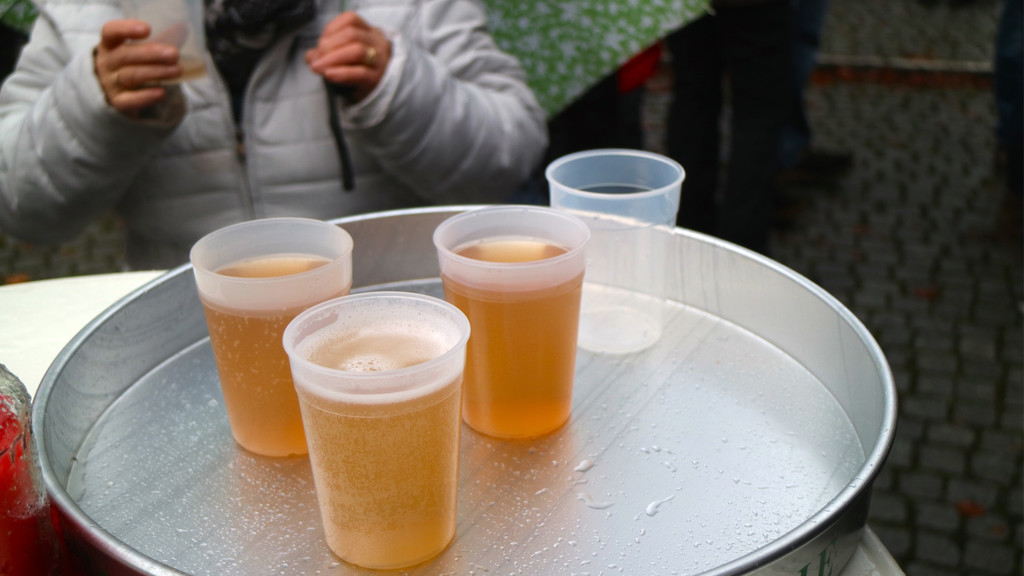BK_Frastnanz Advent im Park 18.jpg