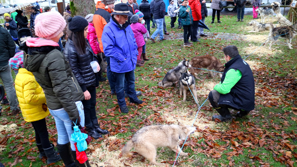 BK_Frastnanz Advent im Park 23.jpg