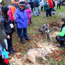 BK_Frastnanz Advent im Park 23.jpg