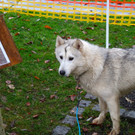 BK_Frastnanz Advent im Park 25.jpg