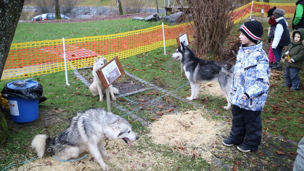 BK_Frastnanz Advent im Park 29.jpg