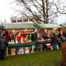 BK_Frastnanz Advent im Park 31.jpg