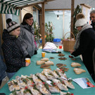 DSC00334.JPG
