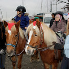 Adventzauber NIKOLAUSMARKT am Hafen Termin 2015 _9_.JPG