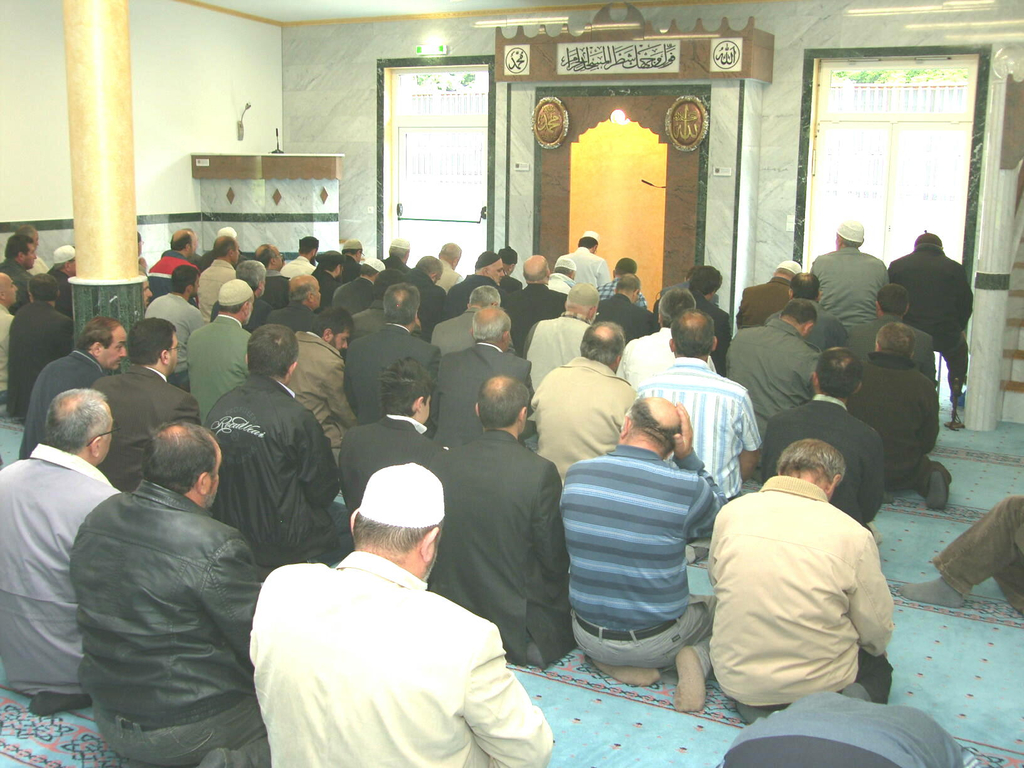 SH109666_JPG-1275894106