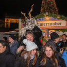 p__rchten-4905.jpg