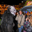 p__rchten-5051.jpg