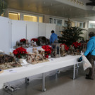 Krippenausstellung im LKH (2015)