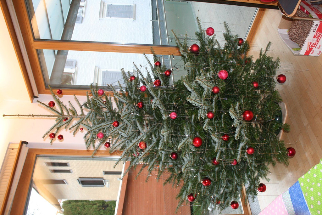IMG_2187.JPG