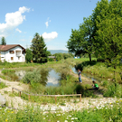 OGV-Koblach148.jpg
