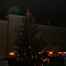 79-IMG_8680.JPG